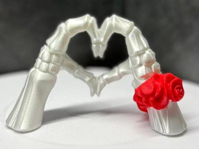 Skeleton heart
