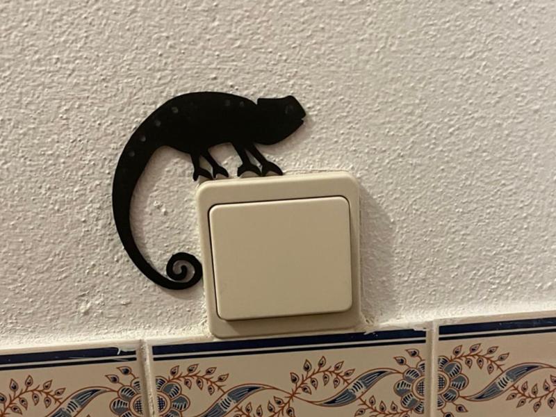 Electrical outlet decoration - Chameleon