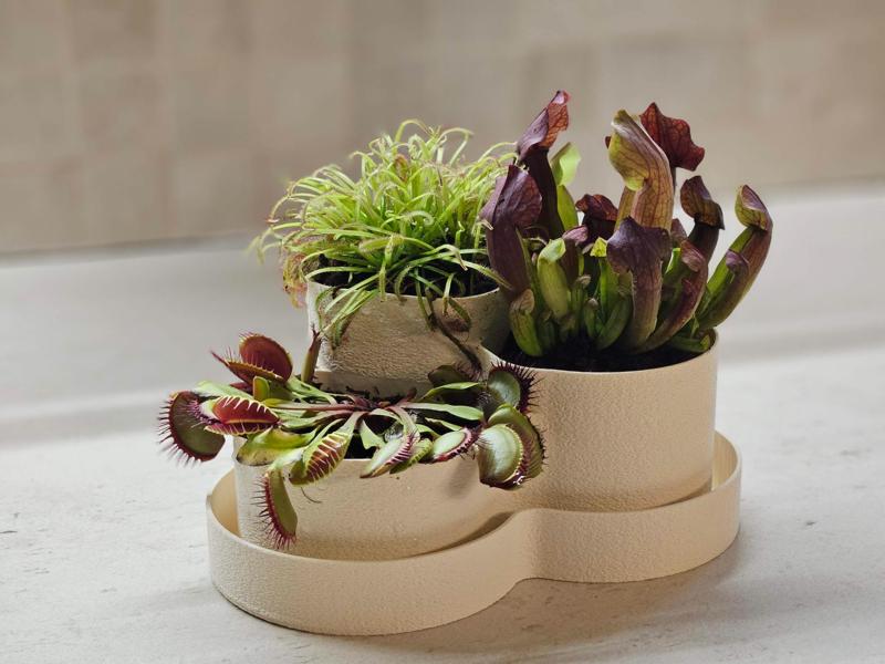 Triple planter with drainage