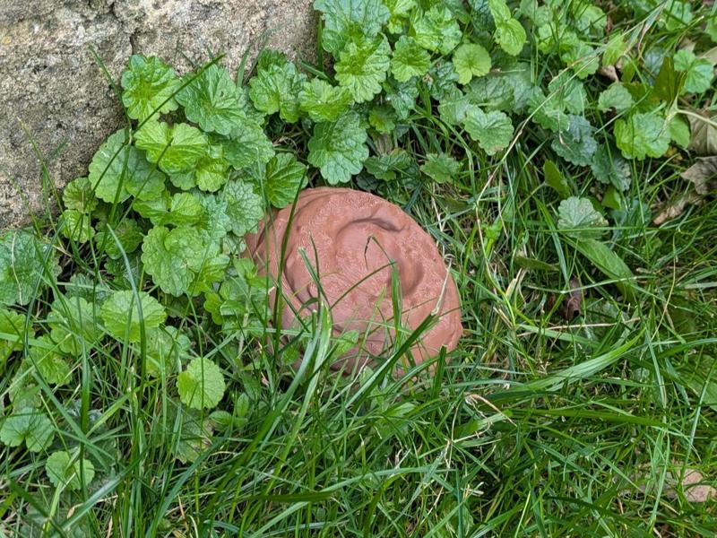 Poop secret box