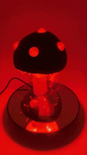 The Amazing Jelly Shroom