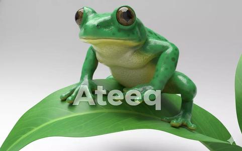 Realistic Frog 3D Model High Quality Printable Amphibian Model