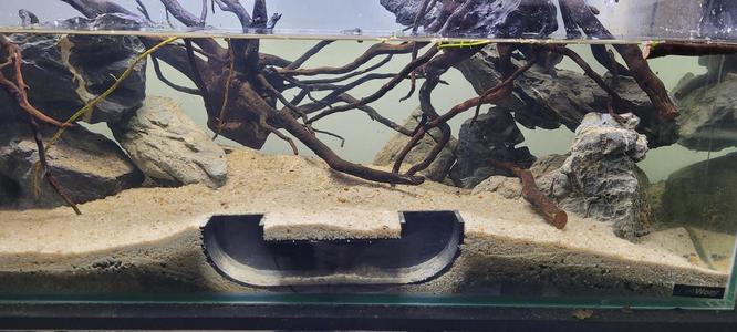 Tunnel for fish 17B - aquarium - fish tank