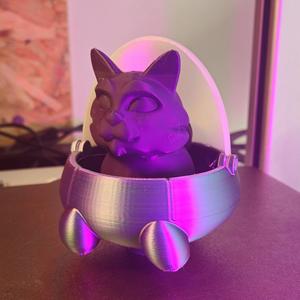 Space Cat