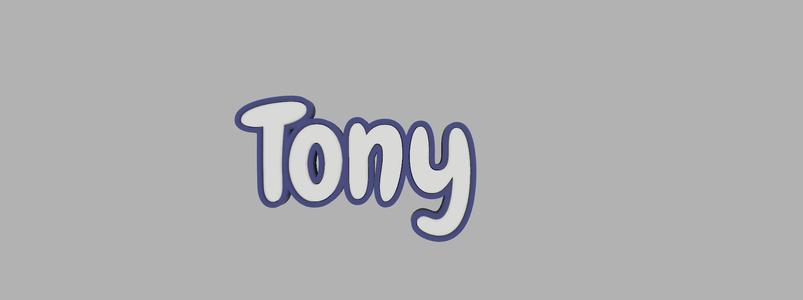 two-tone key ring - Tony