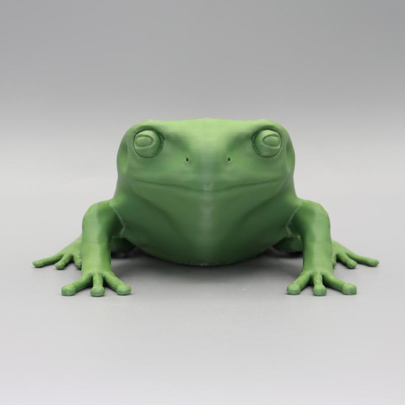 Green tree frog HD
