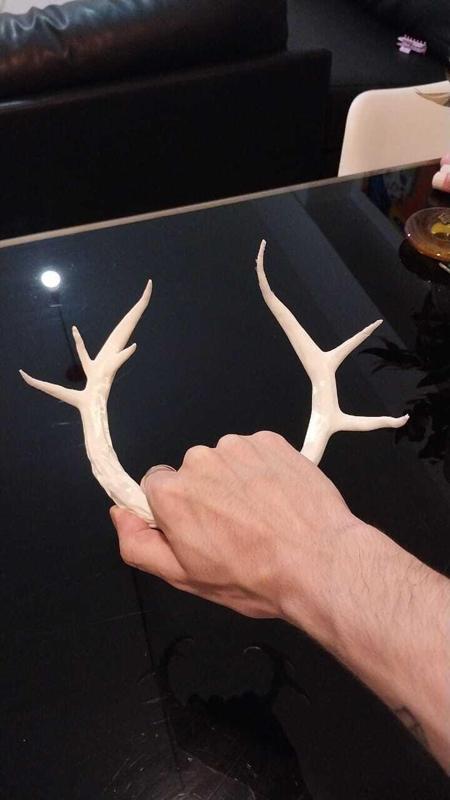Twenty One Pilots - Ned Horns