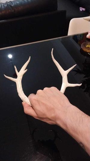 Twenty One Pilots - Ned Horns