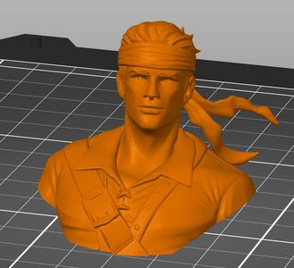 Pirate Hawkeye Bust