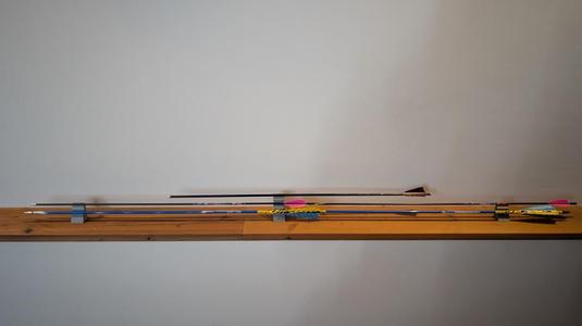 Robin Hood Shot display