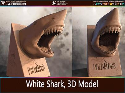 White Shark 3D Model