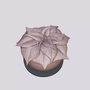Poinsettia flower pot