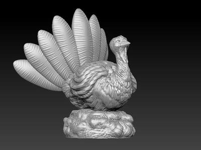 Thanksgiving Turkey