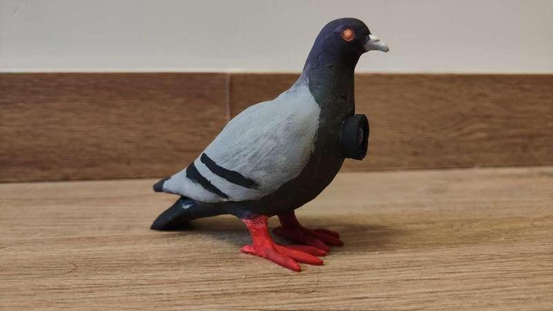 Spy Bird