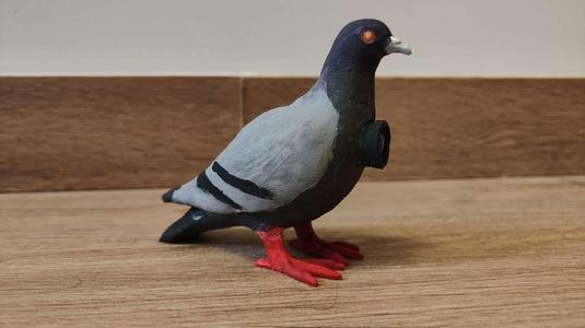 Spy Bird