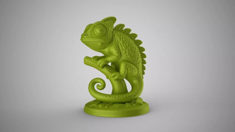Chameleon Decor