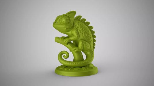 Chameleon Decor