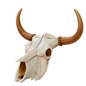 Weathered Bull Skull