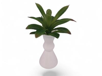 Modern White Vase with Soft Shapes