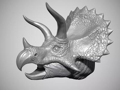 Triceratops Head