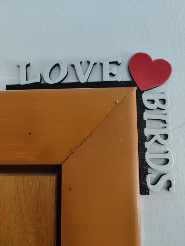 Multicolor Love Birds Valentines Day Door Trim