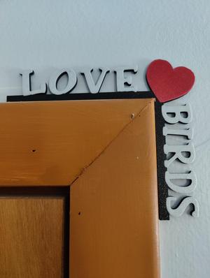 Multicolor Love Birds Valentines Day Door Trim