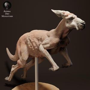 Red Kangaroo Jack Jump