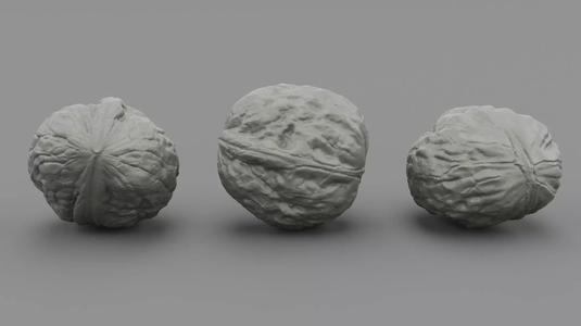 Walnut 01