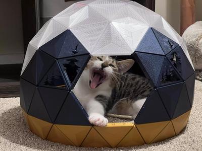 Future Cat House