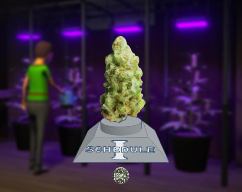 SCHEDULE 1 WEED (OG KUSH) DECOR