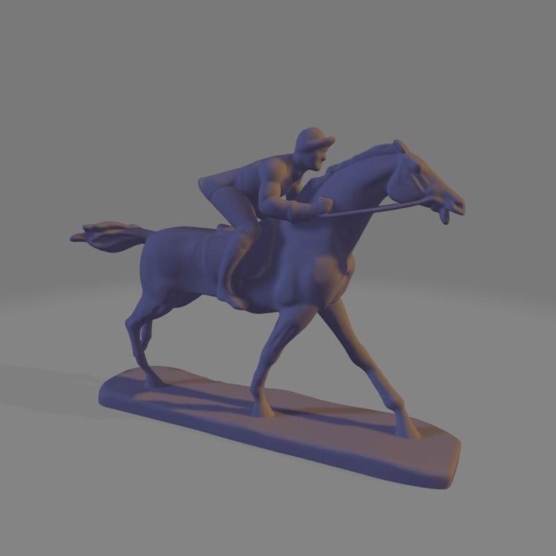 Jockey in competition