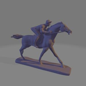 Jockey in competition