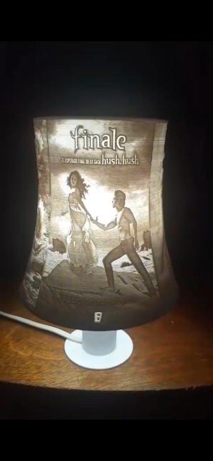 lamp of the hush, hush saga