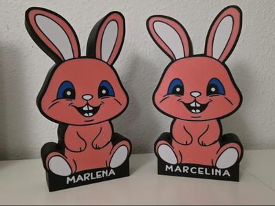 Rabbit LED customize name