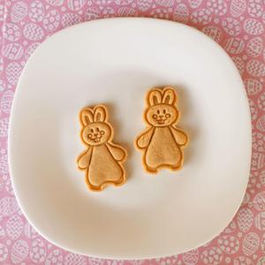 Easter Cookie Cutter Bunny