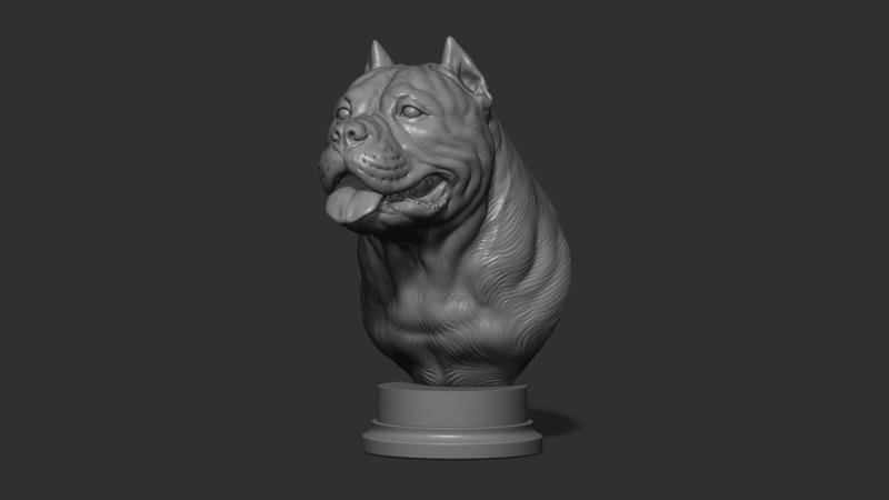 American bully head version1