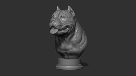 American bully head version1