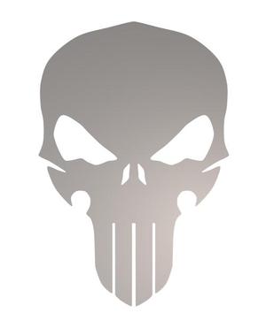 Punisher (like) Skull