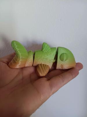 Goldfish Flexi Fidget toy