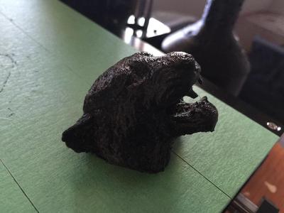 Tiger's Head