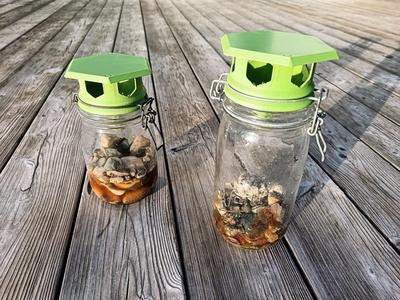 ASIAN HORNET TRAP