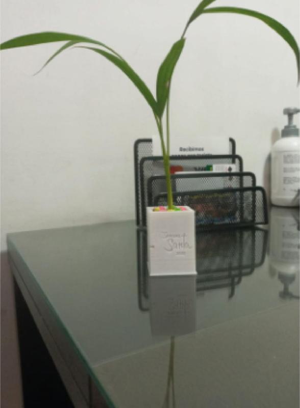 MATERA PLANTS insole