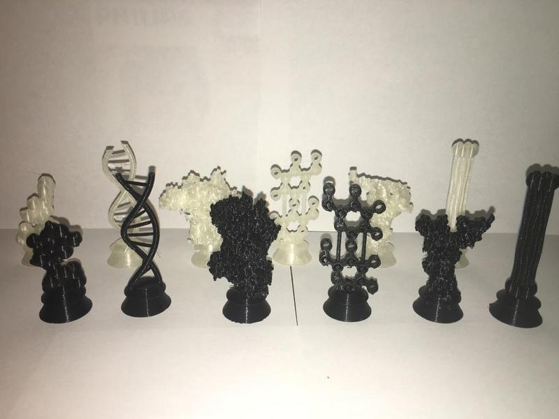 Biochemistry Chess Set