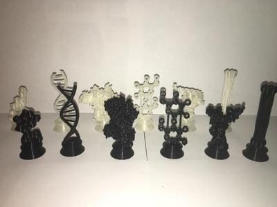 Biochemistry Chess Set