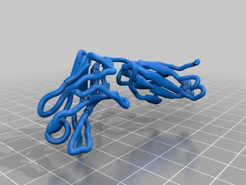 Immunoglobulin light chain