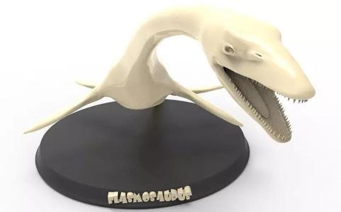 Elasmosaurus Printable