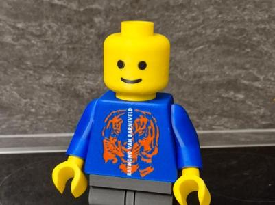 Brick Man Raymond van Barneveld 20cm