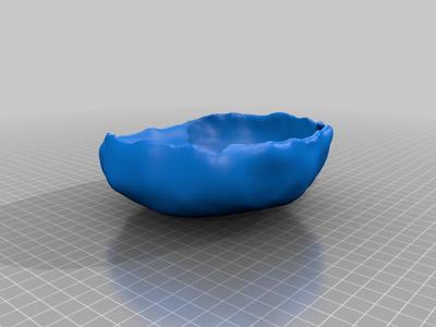 bearded dragon food bowl