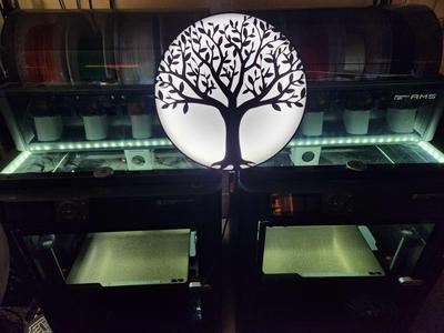 tree light box