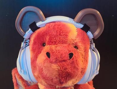 Headphone Bear Ears   
